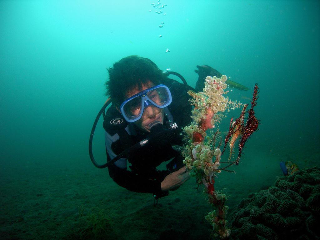 Camiguin Volcan Beach Eco Retreat & Dive Resort Mambajao Kültér fotó